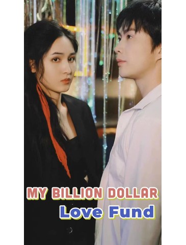 My Billion-Dollar Love Fund