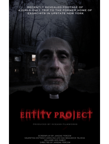 Entity Project