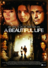 A Beautiful Life