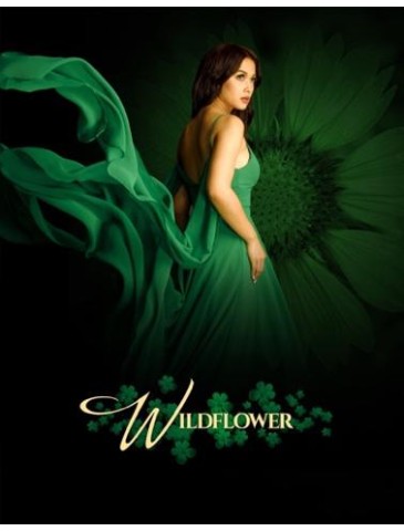 Wildflower Season 1